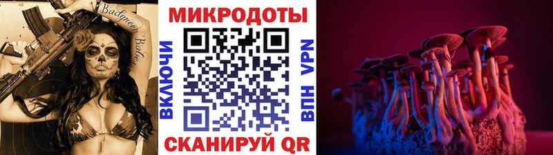 магазин продажи   Лакинск  Галлюциногенные грибы Magic Shrooms 